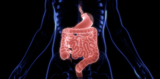 What You Need to Know About Gut Health